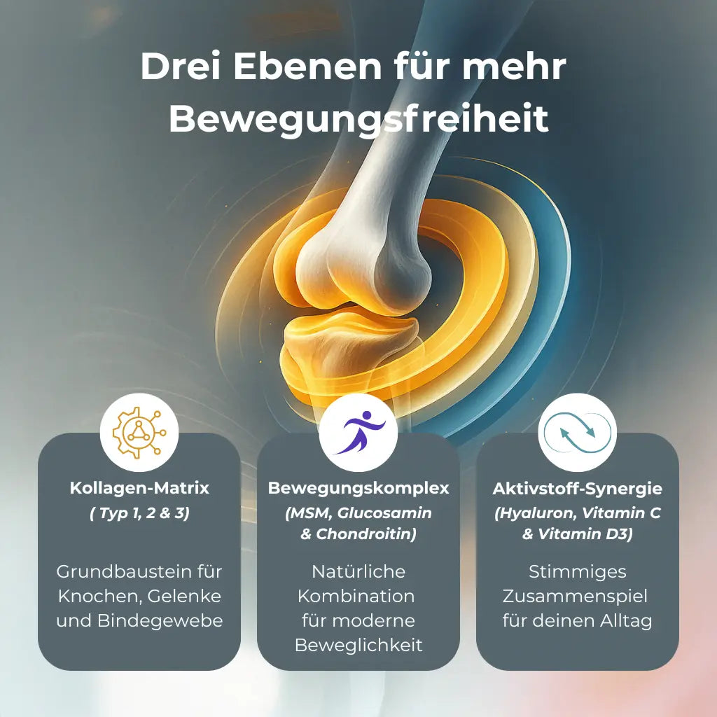 Infografik der Triple-Synergie-Matrix™ von Colinea Inner Strength – Kombination aus Kollagen-Matrix, Bewegungskomplex und Aktivstoff-Synergie für Gelenke, Knochen und Beweglichkeit