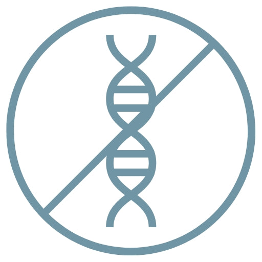 Colinea Kollagen-Shots – frei von Gentechnik für natürliche Reinheit