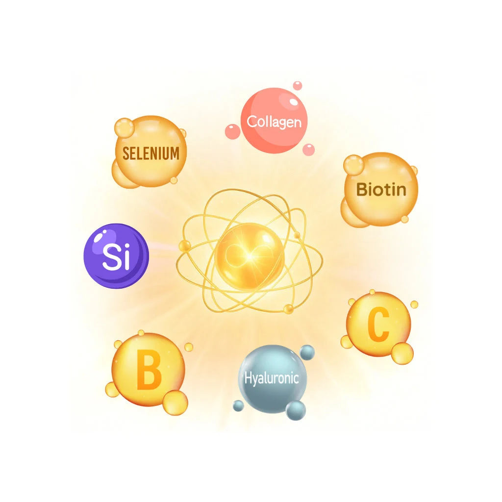 Synergie-Matrix Infografik – Kollagen, Hyaluron, Vitamine und Mineralstoffe im Zusammenspiel
