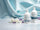 Colinea Inner Radiance und Inner Strength Kollagen-Shots – Premium Kollagen-Drinks mit Weidehaltung-Synergie-Matrix™ und Triple-Synergy-Matrix™, dekorativ mit Blumen inszeniert