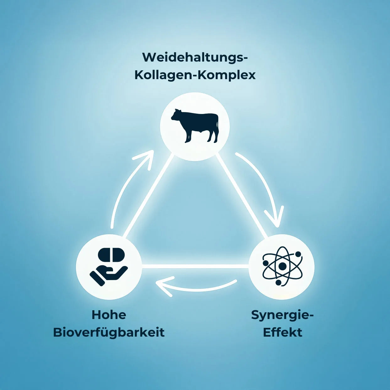 Weidehaltung-Synergie-Matrix™ von Colinea – Dreiecksdiagramm mit Weidehaltungs-Kollagen, Synergie-Booster und hoher Bioverfügbarkeit als ganzheitliche Formel
