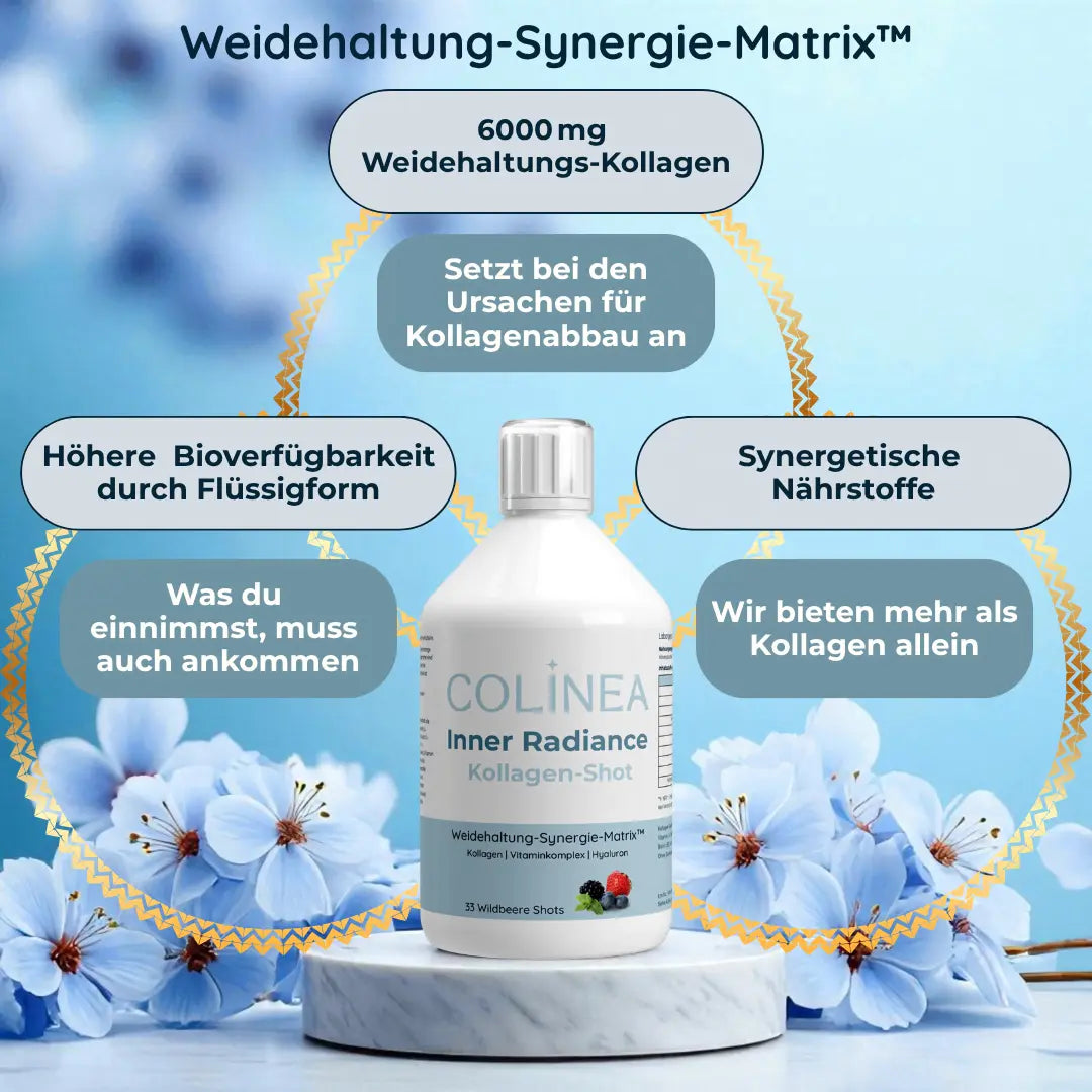 Colinea Inner Radiance Kollagen-Shot Infografik – Weidehaltung-Synergie-Matrix™ mit 6000 mg Weidekollagen, synergetischen Nährstoffen und flüssiger Darreichungsform für hohe Bioverfügbarkeit