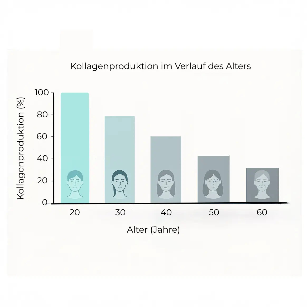 Grafik zeigt sinkende Kollagenproduktion mit zunehmendem Alter
