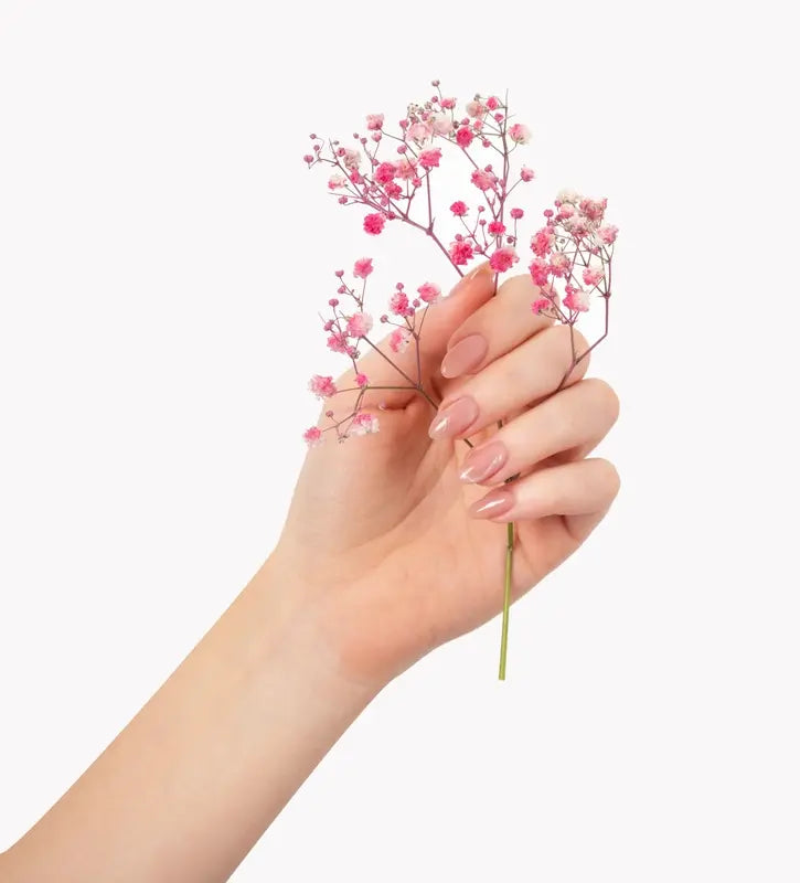 Hand mit gepflegten Fingernägeln hält rosa Blüten – Symbolbild für die Wirkung von Kollagen auf Nägel und Haare
